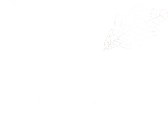 Renata Carvalho 30126 — Deputada Estadual · NOVO